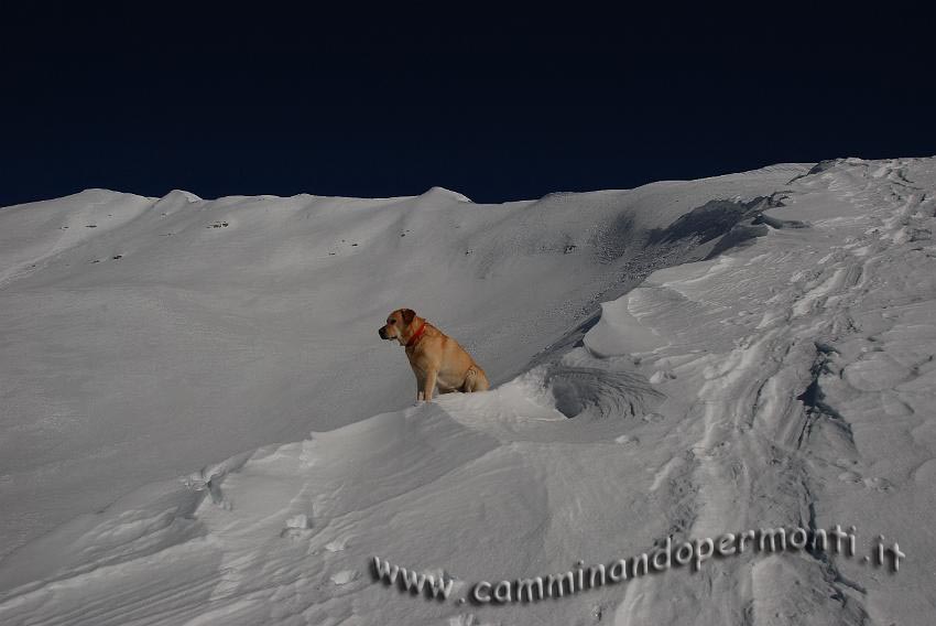 41 Salendo verso la Cima Menna.jpg